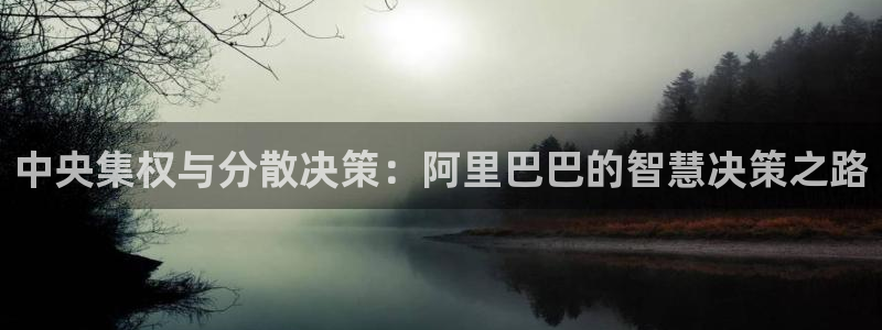28圈官网：中央集权与分散决策：阿里巴巴的智慧决策之路
