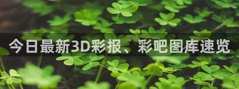 28圈路线1：今日最新3D彩报、彩吧图库速览