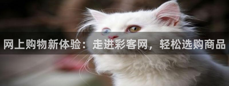 壹号国际app免费下载安装：网上购物新体验：走进彩客网，轻松选购商品
