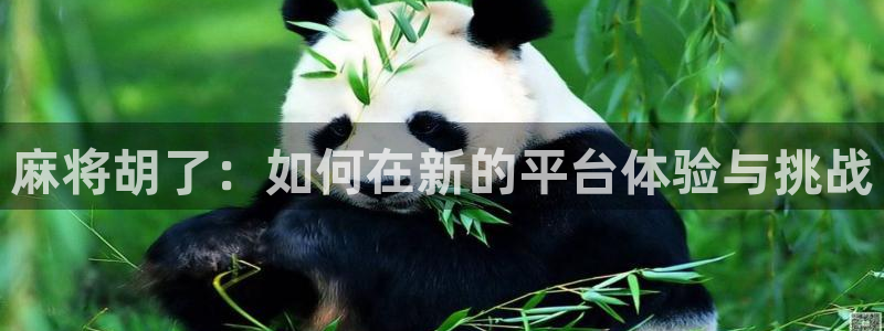 28圈下载二维码：麻将胡了：如何在新的平台体验与挑战