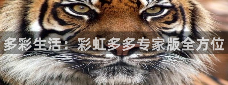 28圈下载地址：多彩生活：彩虹多多专家版全方位