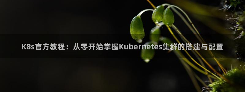 壹号大舞台下载：K8s官方教程：从零开始掌握Kubernetes集群的搭建与配置