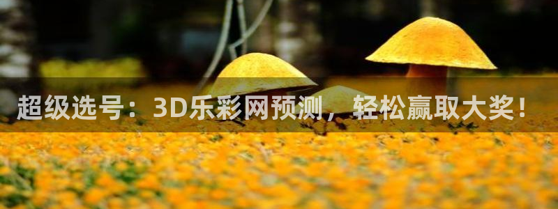 28圈游戏官网平台入口：超级选号：3D乐彩网预测，轻松赢取大奖！
